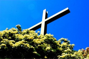 GBC-cross